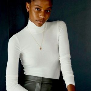 NWT Wilfred/Aritzia Only Turtleneck (Oak, Small)